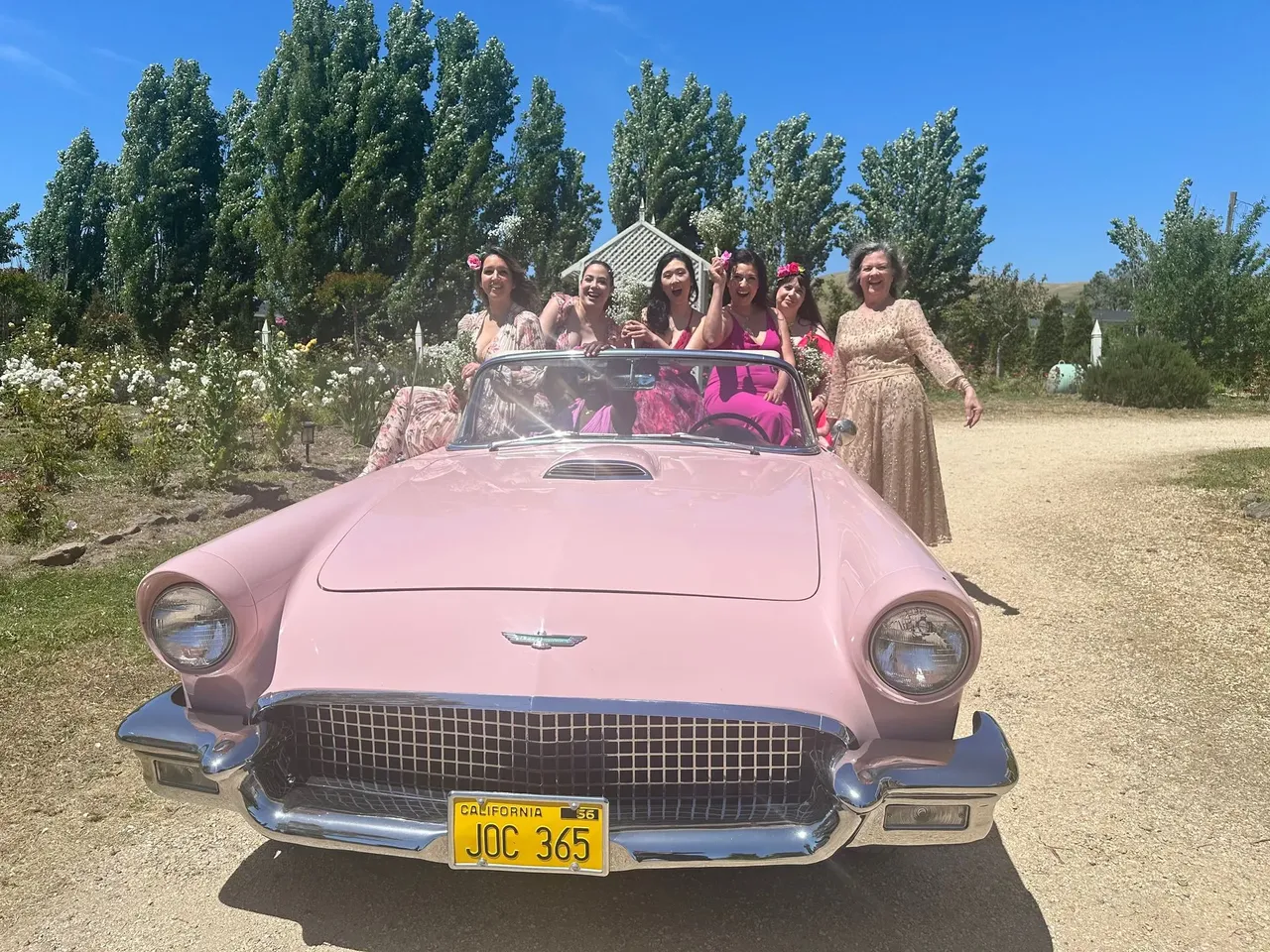 Pink 1957 Ford T-Bird, photo 2 for wedding car rental