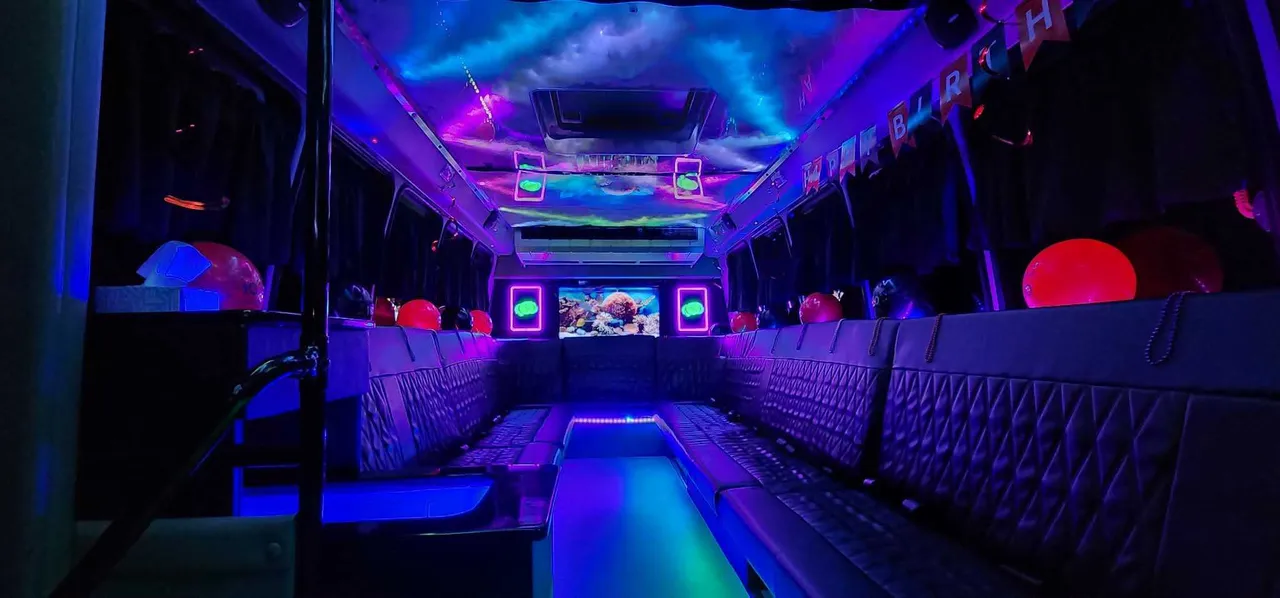 20 Passenger Luxury Party Bus (Dark Shadow) limo rental, interior view: perimeter lounge seating, LED accent lighting and LED ceiling lighting