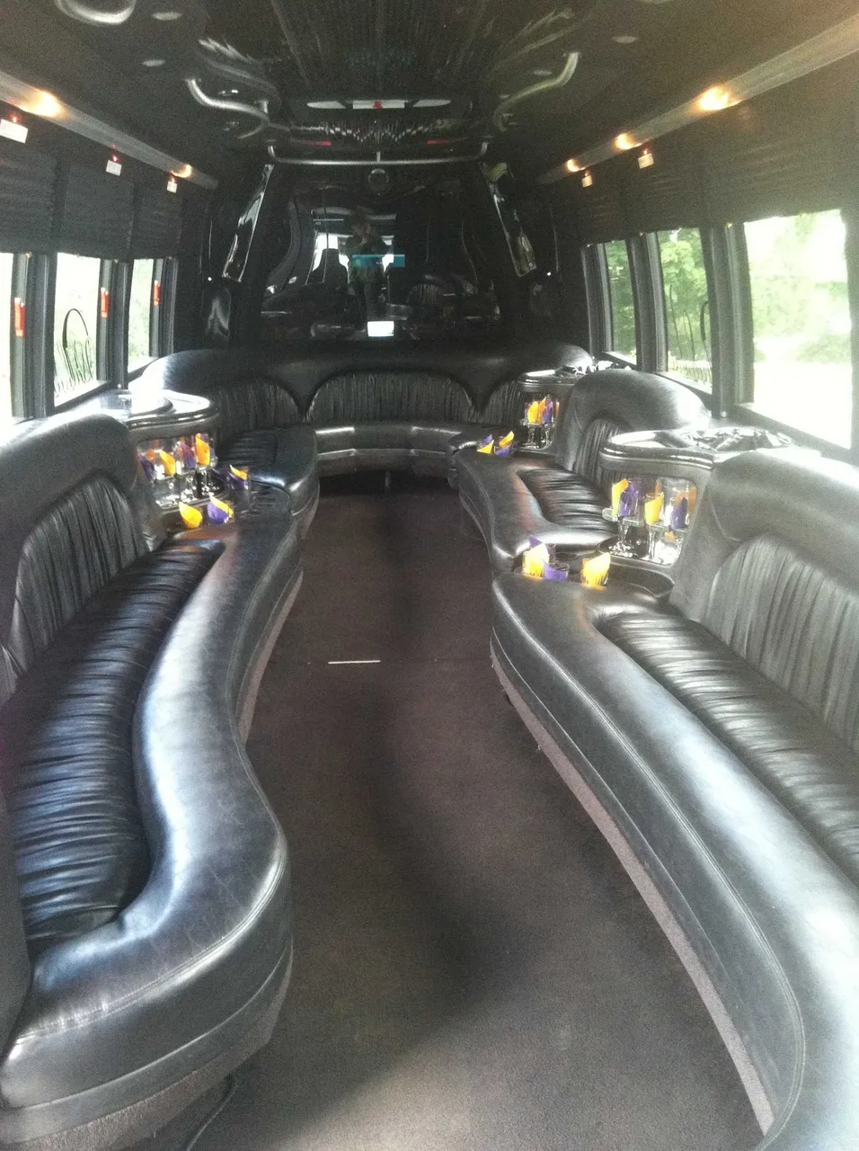 Party Bus - Dean Martin interior with perimeter lounge seating, cup holders and window shades, photo 3 for limo rental in Manlius, NY
