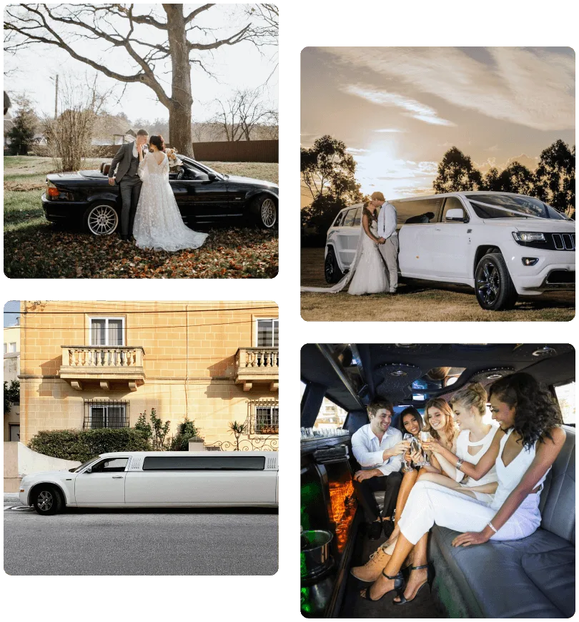 Our Services