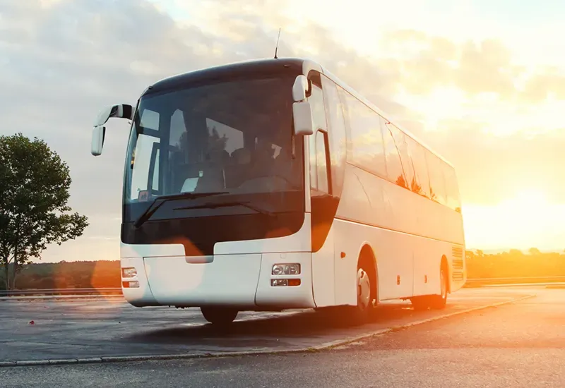 Charter buses and shuttles in Tilden