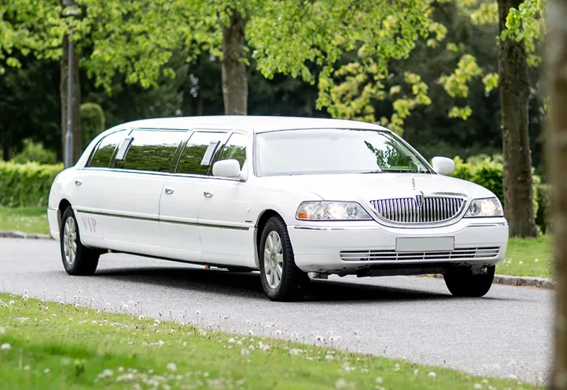 Limousines in Tilden